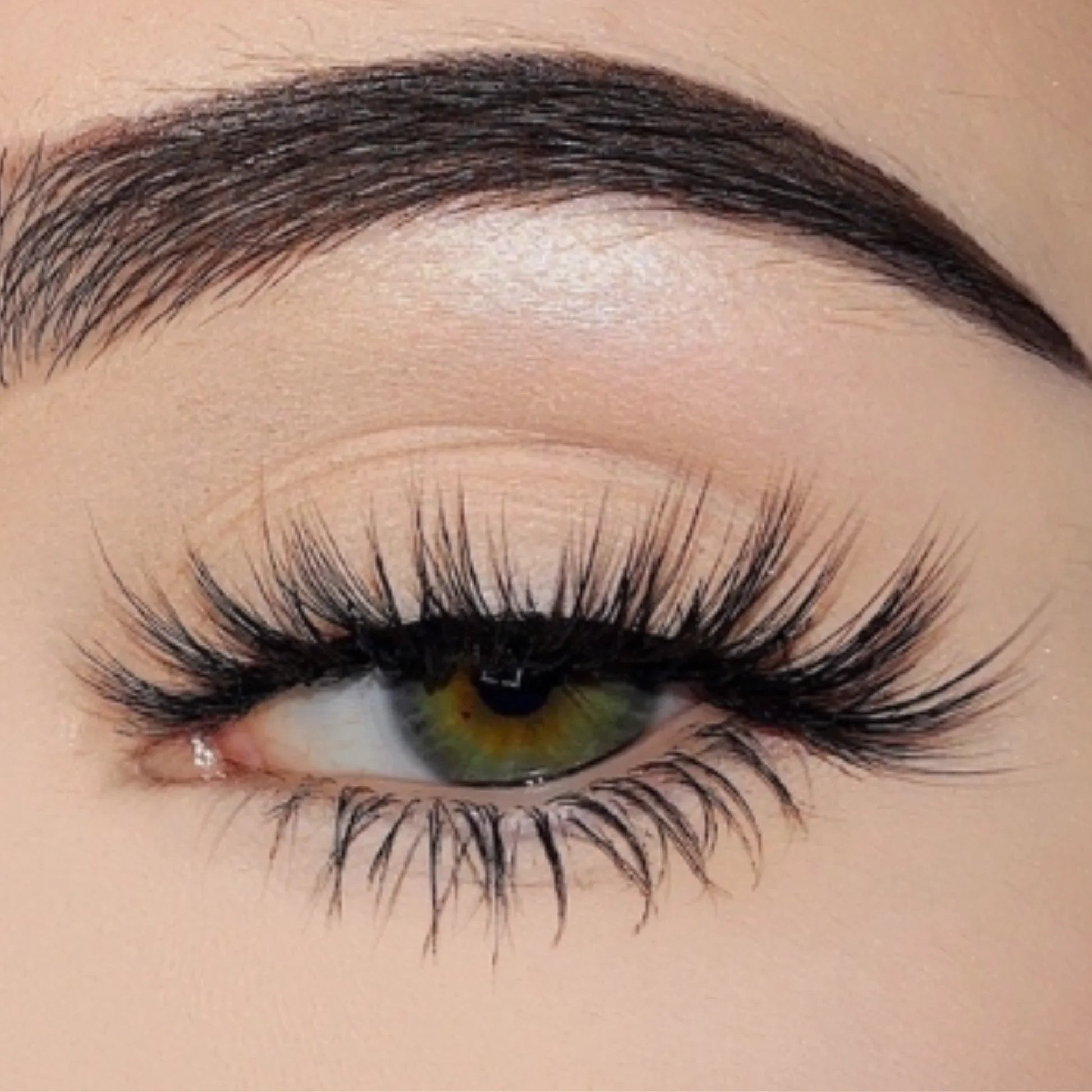Sensual-Glueless Faux eyelash - Goddess Beauty Lashes