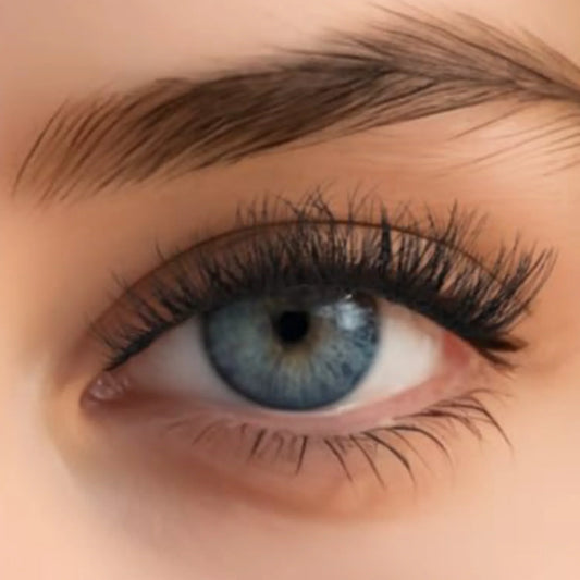 Soft Spoken Faux Eyelashes - Goddess Beauty Lashes